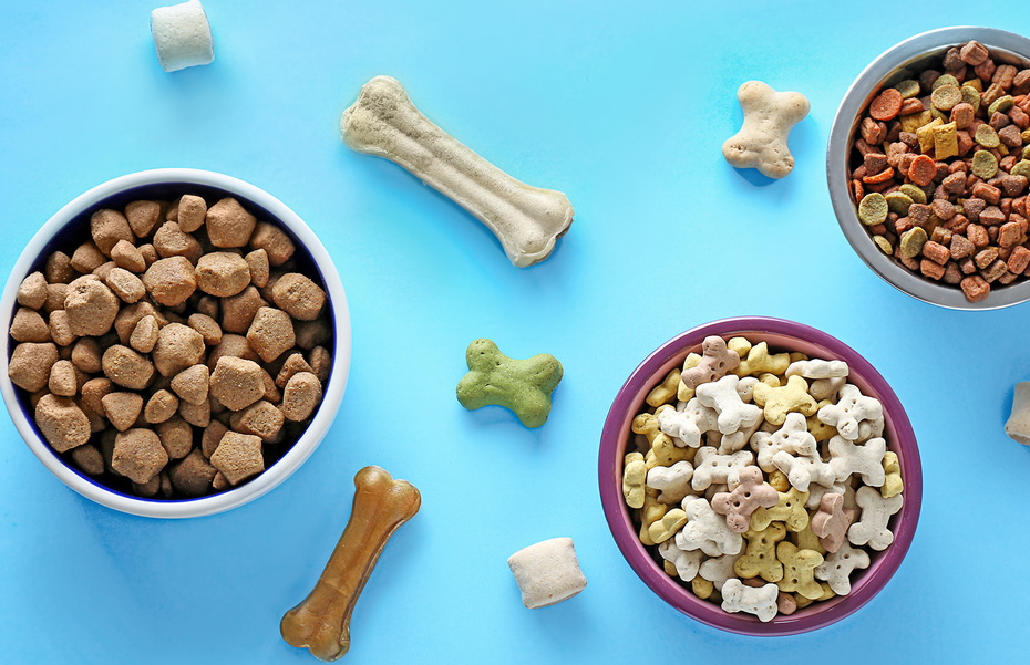 pet food al An In-Depth Look at the Alabama Pet Food Market pet food al An In-Depth Look at the Alabama Pet Food Market